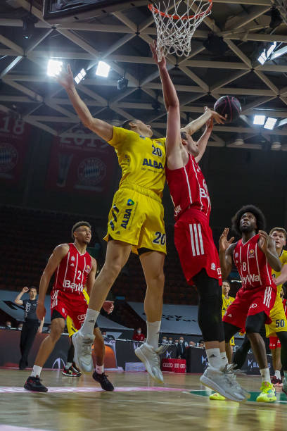 困境与应对 困境与应对